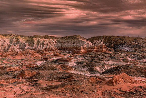 Photograph - Wasteland by Matt Halvorson