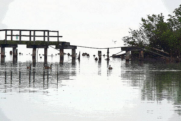 Michigan Photograph - Watch Your Step by Vi Ray