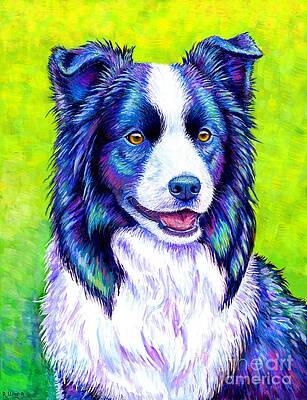 Painting - Watchful Eye - Colorful Border Collie Dog by Rebecca Wang