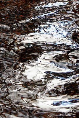 Wall Art featuring the photograph Water Color Abstract by Sunniye Buesing