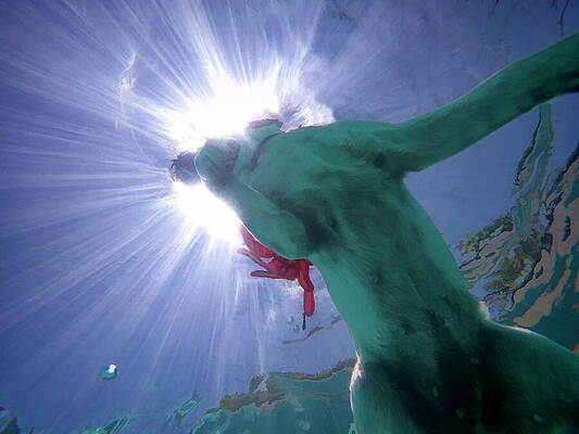 Dog Wall Art featuring the digital art Underwater Photograph Of A White Labrador Retriever Swimming by Waterdancer