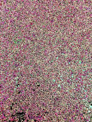 Wall Art featuring the digital art Water Fern In The Wetlands by Bruce Block