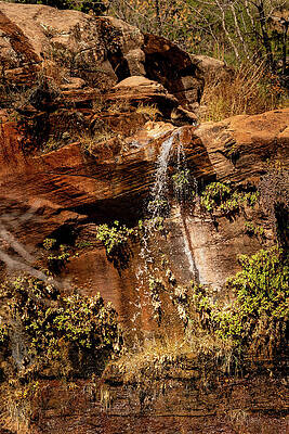 Desert Photograph - Water Tumbling At Emerald Pools by Craig A Walker