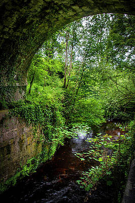 Water Wall Art featuring the photograph Water Under The Bridge by Mark Callanan