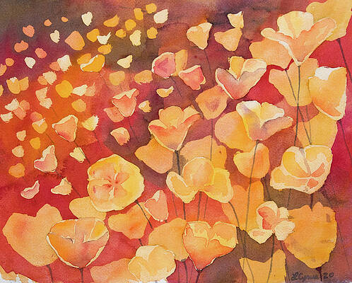 Painting - Watercolor - California Poppy Design by Cascade Colors