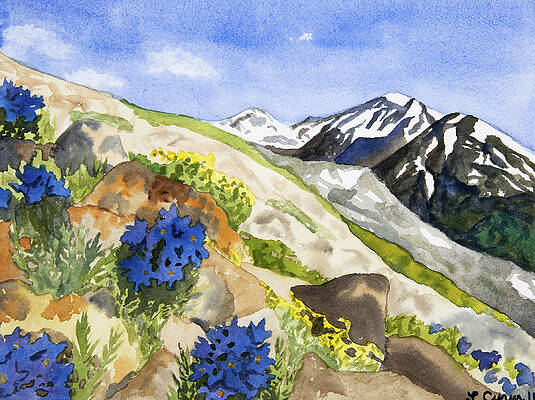 Climbing Mount Elbert with Wildflowers Painting