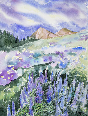 Wilderness Painting - Watercolor - Crested Butte Lupine Evening by Cascade Colors