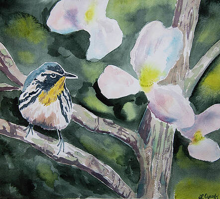 Painting - Watercolor - Yellow-throated Warbler With Magnolia by Cascade Colors