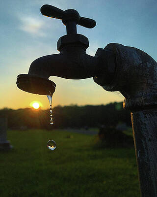 Southern Wall Art featuring the photograph Waterdrop Silhouette by Greg Lane