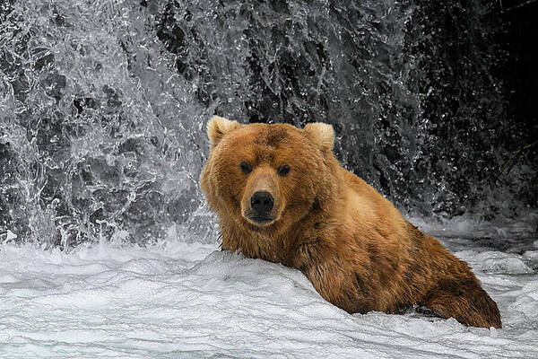 Waterfall Foam by Harry Banks