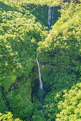 Hawaii Wall Art featuring the photograph Waterfall In The Jungle Of Kauai, Hawaii by Nancy Gleason
