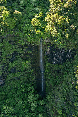 Hawaii Wall Art featuring the photograph Waterfall In The Wilderness Of NaPali State Park, Kauai, Hawaii by Nancy Gleason