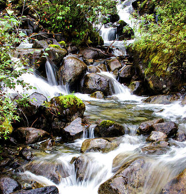 Tranquil Wall Art featuring the photograph Waterfall Junction by Barbara Siegel