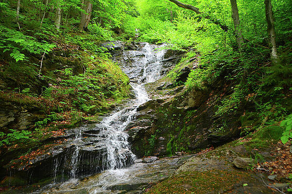 Waterfall Photograph - Waterfall On Mount Mansfield 1 by Raymond Salani III