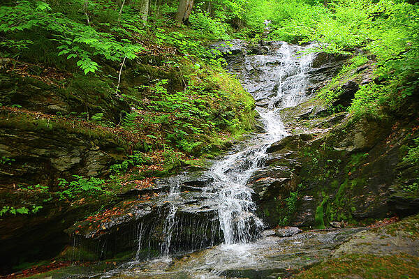 Waterfall Photograph - Waterfall On Mount Mansfield 2 by Raymond Salani III
