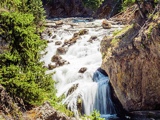 Tree Photograph - Waterfall by Robert Niemeier