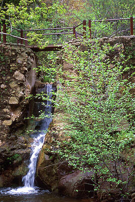 Waterfall Photograph - Waterfall Steps by Barbara Siegel