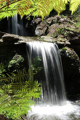 Wall Art featuring the photograph Waterfall Study 1 by Richard Reeve