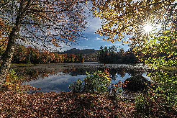 Fall Wall Art featuring the photograph Water's Edge by Todd Wilkinson
