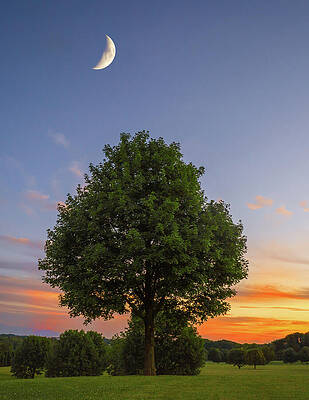 Beautiful Photograph - Waxing Crescent Over A Sunset by Jason Fink