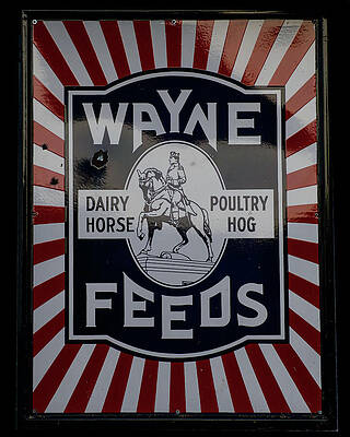 Wall Art featuring the photograph Wayne Feeds Sign by Flees Photos