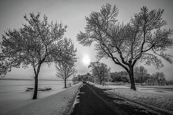 Serene Photograph - WBL Winter's Whisper by Mark Triplett