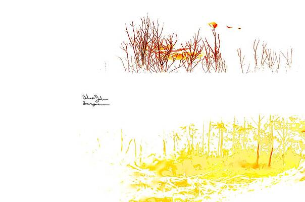 Wall Art featuring the photograph Sask- We May Be In A Predicament by Alex John Bergerman