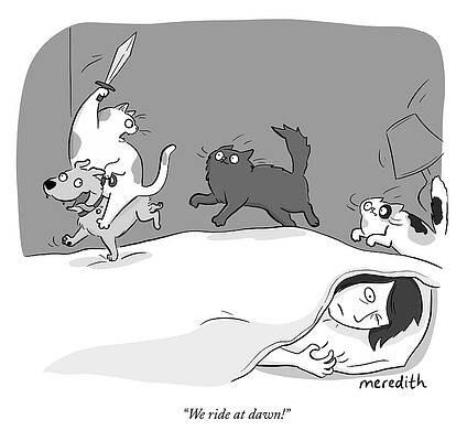 Cats Planning Night Adventure Wall Art