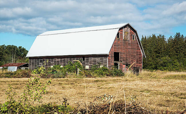 State Route 20 Photograph - Weathered Barn On SR 20 by Tom Cochran