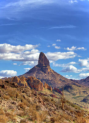 Arizona Photograph - Weavers Needle by Bob Falcone