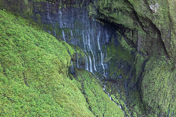 Hawaii Wall Art featuring the photograph Weeping Wall Of The Mount Waialeale Waterfalls In Kauai, Hawaii by Nancy Gleason