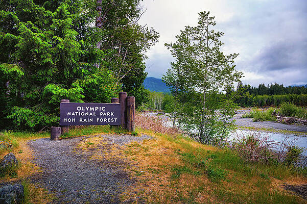 Wall Art featuring the photograph Welcome Sign For Olympic National Park Hoh Rain Forest In Washington State, USA by Miroslav Liska