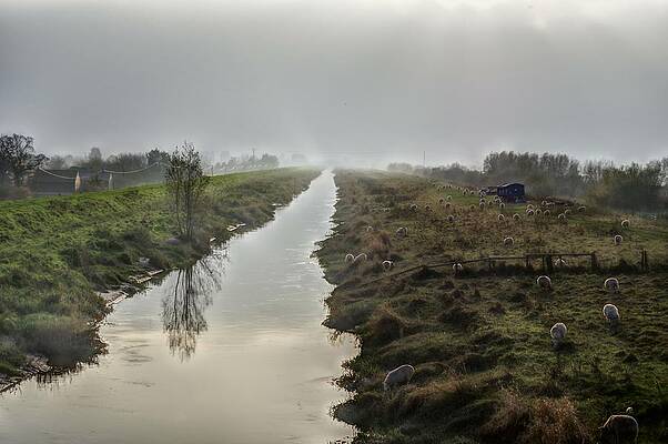 Nature Photograph - Welney - New Bedford River by Murray Croft