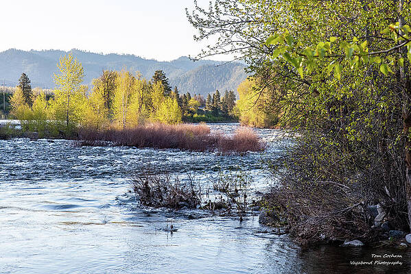 Serene River in Springtime Photograph