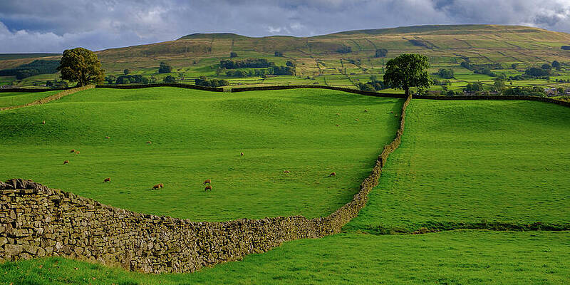 Rolling Hills and Stone Walls Photograph