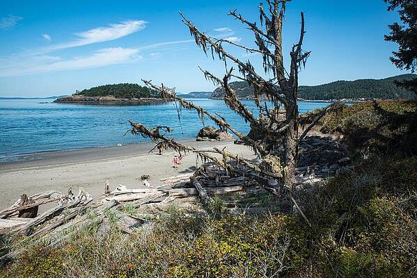 Beach Photograph - West Beach Deception Pass by Tom Cochran