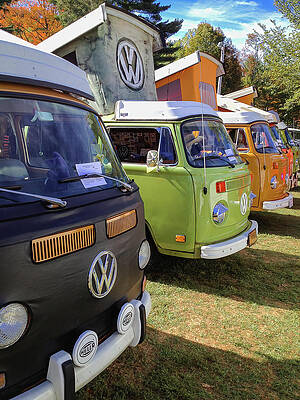 Wall Art featuring the photograph Westy Row by Steven Nelson