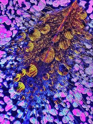 Colorful Wall Art featuring the digital art Wet Feather In The Wetlands by Bruce Block