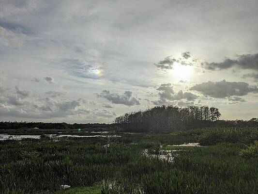 Serene Wall Art featuring the photograph Wetlands 3582 by David McKinney