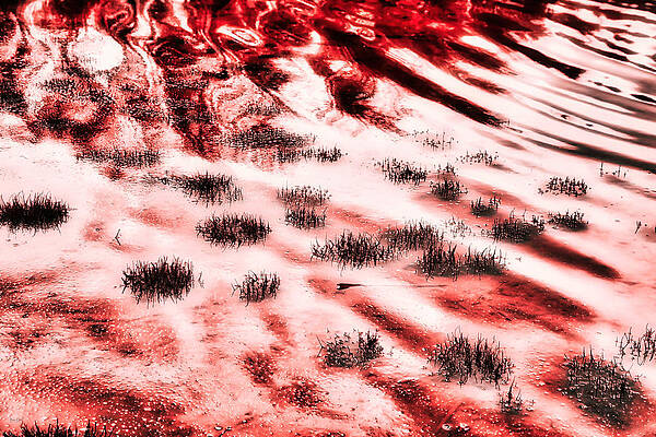 Wall Art featuring the photograph Wetlands by Bruce Block