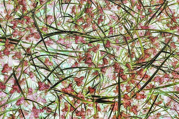 Wall Art featuring the photograph Wetlands Ground Cover by Bruce Block