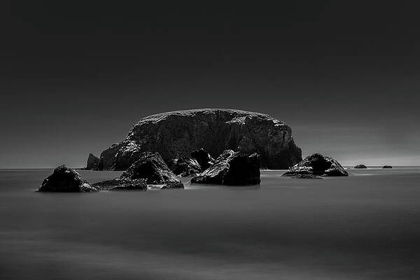 Photograph - Whaleshead by Matt Halvorson
