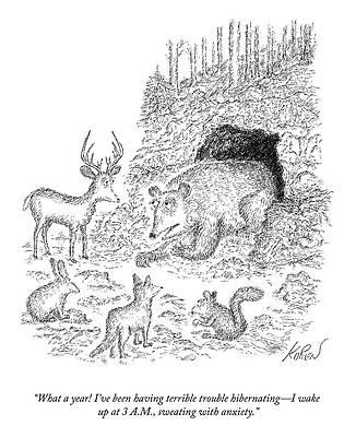 Bear Complains About Hibernation Drawing