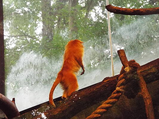 Nature Photograph - What Is Happening by Doreen Rosselli