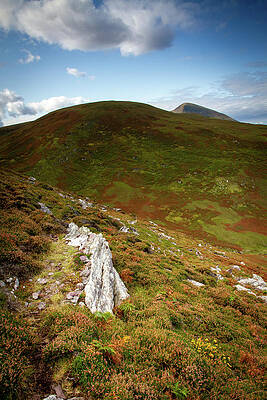 Landscape Photograph - What Path by Mark Callanan