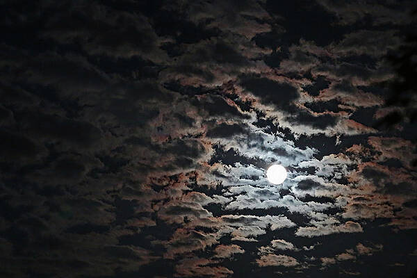 Wall Art featuring the photograph When The Moon Lights The Clouds by Gina Fitzhugh
