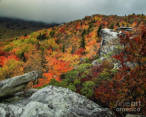 Autumn Foliage in the Mountains Wall Art