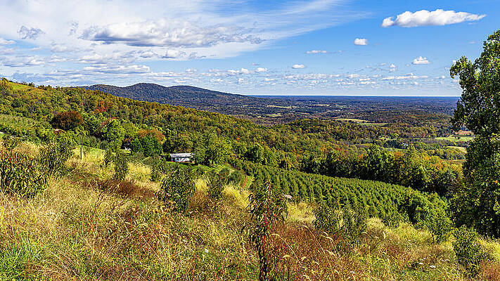 Scenic View of Countryside Hills Wall Art