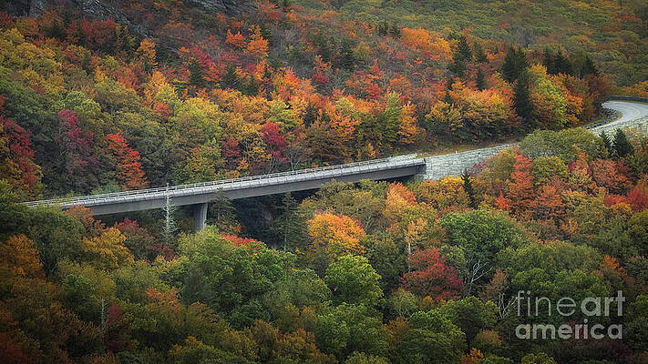 Scenic Autumn Mountain Road Wall Art
