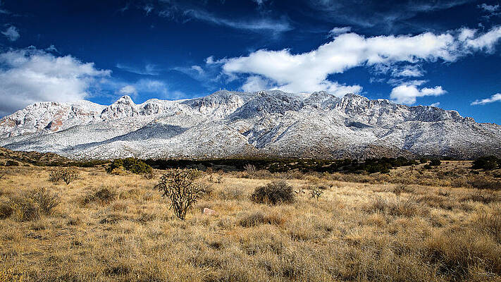 Where Winter Meets the Desert by Howard Holley